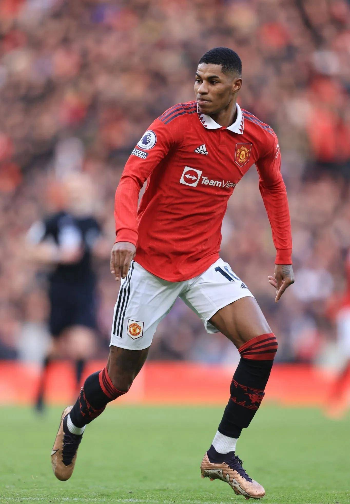 并肩作战的 并肩作战的